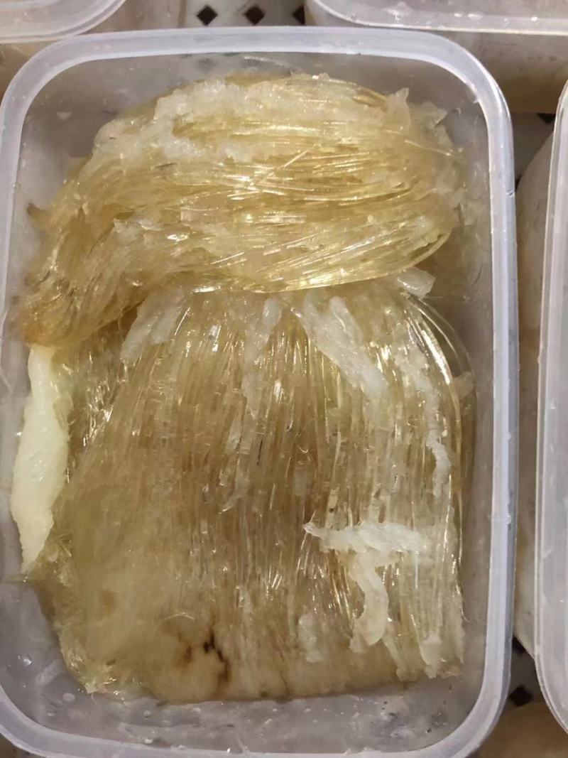 鱼翅针