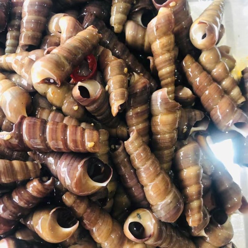 麻辣钉螺#捞汁小海鲜#网红小海鲜#好吃到爆