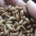 黑水虻高蛋白昆虫饲料用于养殖鸡鸭鱼虾蟹青蛙等降成提产