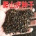 新品爬山虎种子四季常青三叶地锦四季种阳台庭院爬藤观叶植物