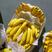 进口菲律宾香蕉大量现货无花皮无黑心无硬心一手货源