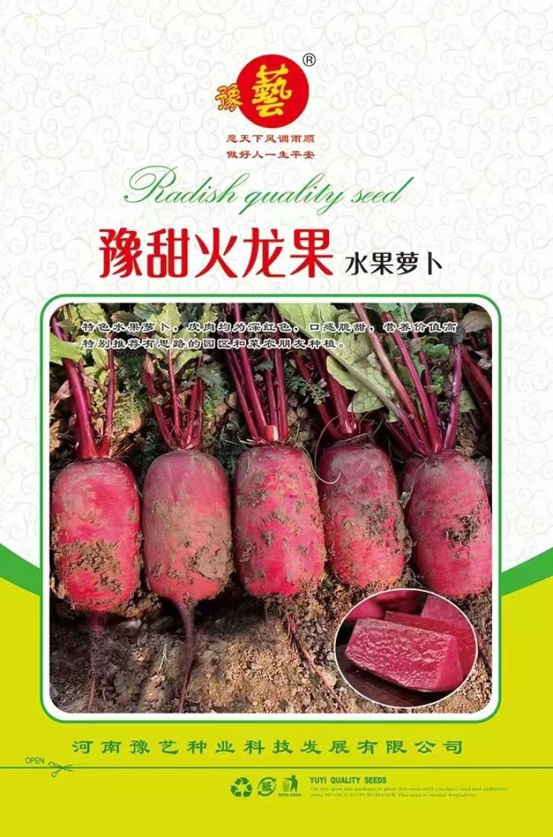豫甜火龙果水果萝卜种子500克皮肉均为深红色囗感脆甜经济
