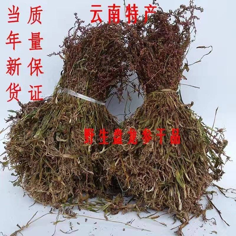 盘龙参猪鞭草龙抱柱镰刀草云南特产新货包邮