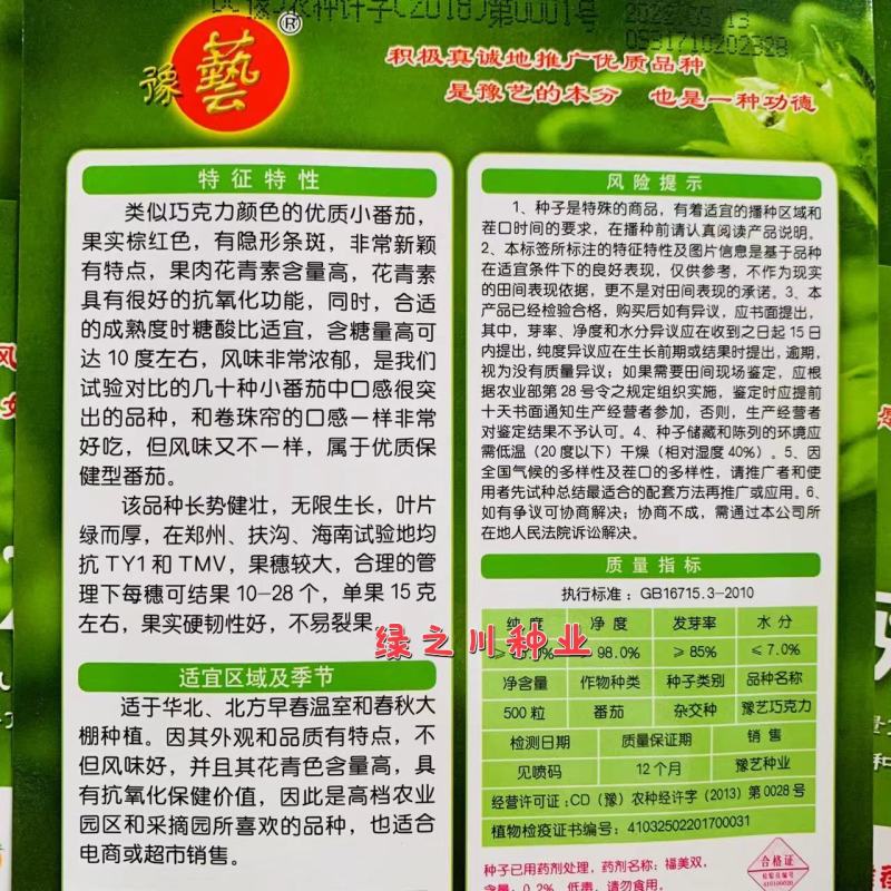 豫艺小番茄种子花青素含量高巧克力番茄种子糖度高抗病