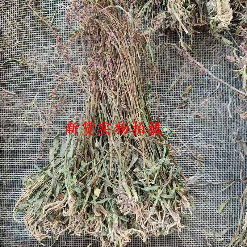 盘龙参猪鞭草龙抱柱镰刀草云南特产新货包邮