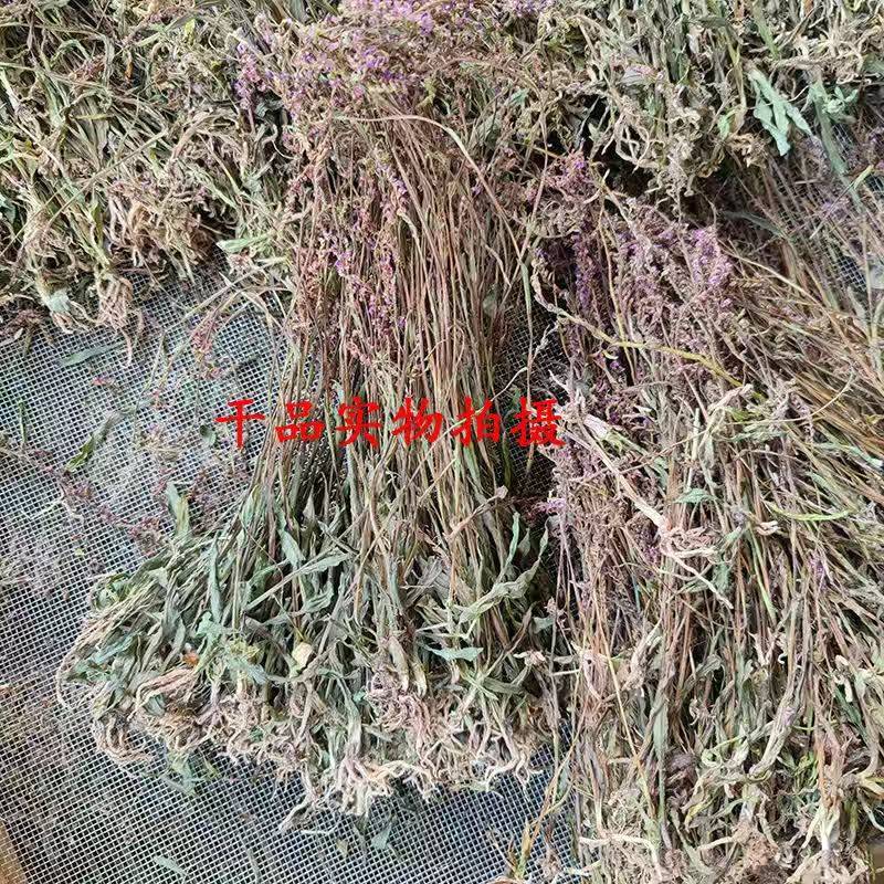 盘龙参猪鞭草龙抱柱镰刀草云南特产新货包邮