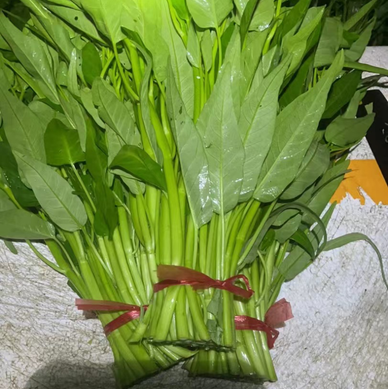 空心菜