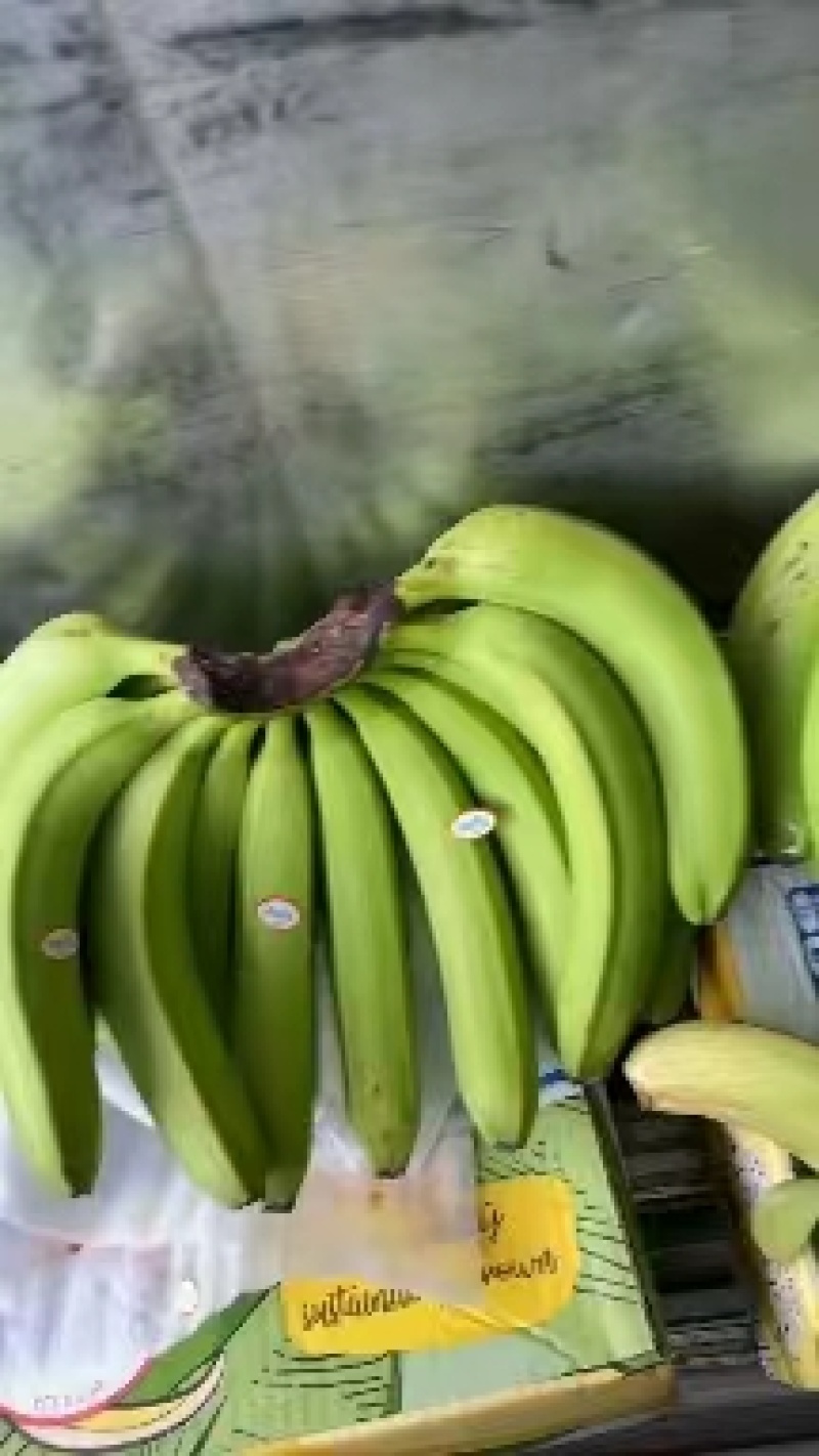 精品香蕉一手货源品质保证量大从优欢迎选购