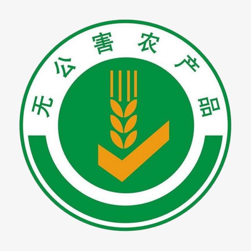 福建平和琯溪蜜柚红心蜜柚红肉蜜柚支持一件代发