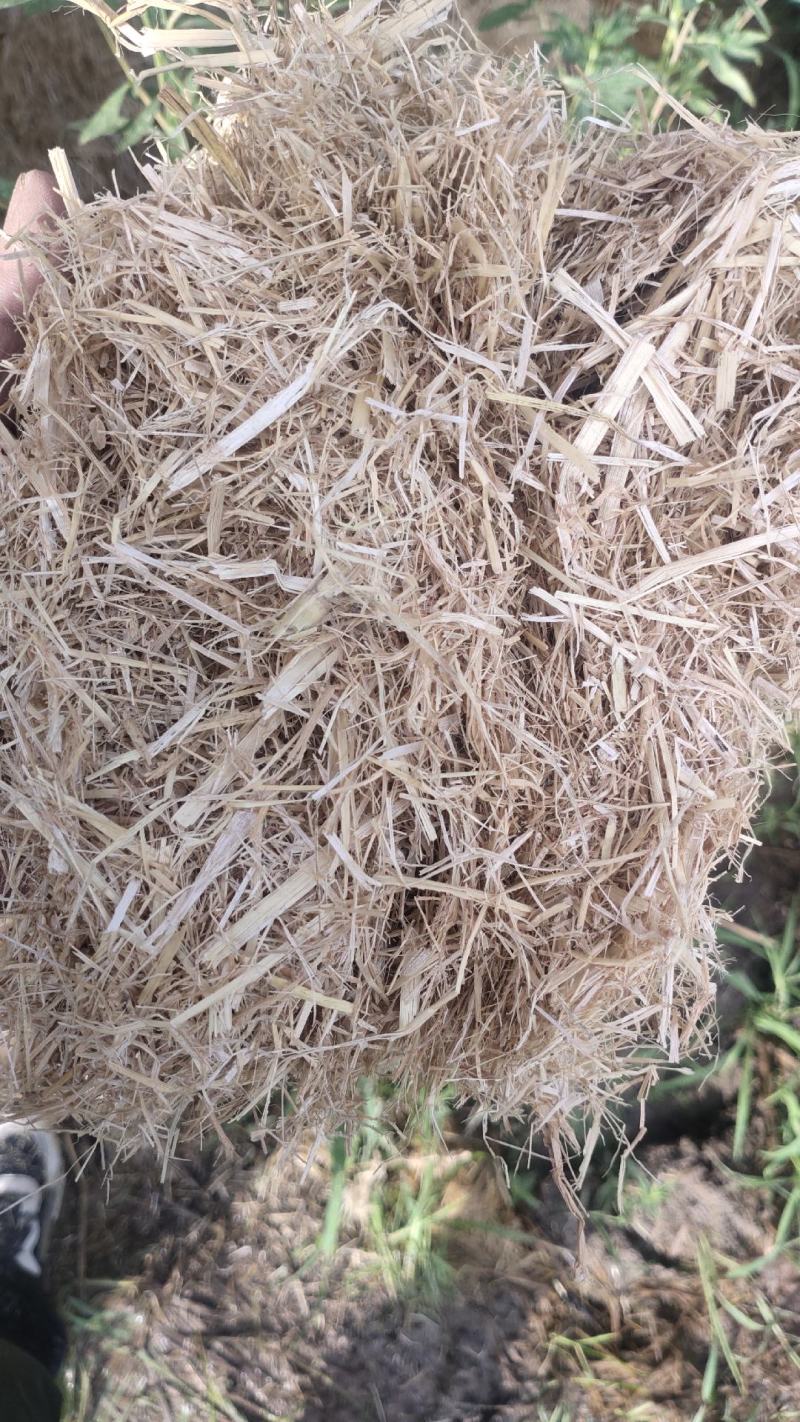 稻草大方捆柔丝新草水份低干净