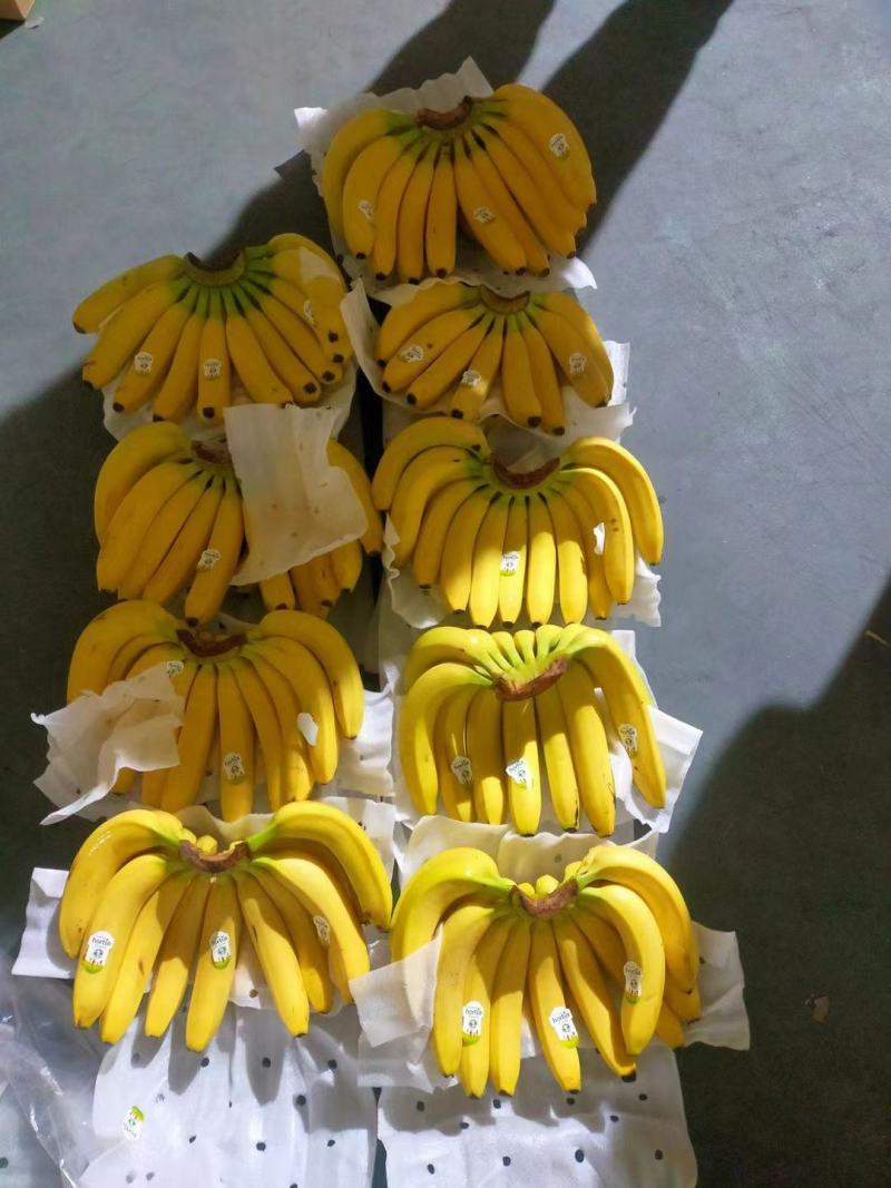 进口菲律宾香焦大量现货口感甜糯无花皮无黑心一手货源