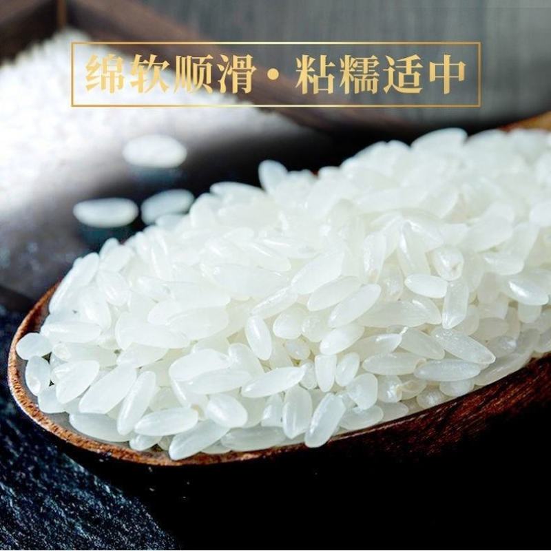 精品大米稻花香长粒米产地品质保证欢迎电话联系