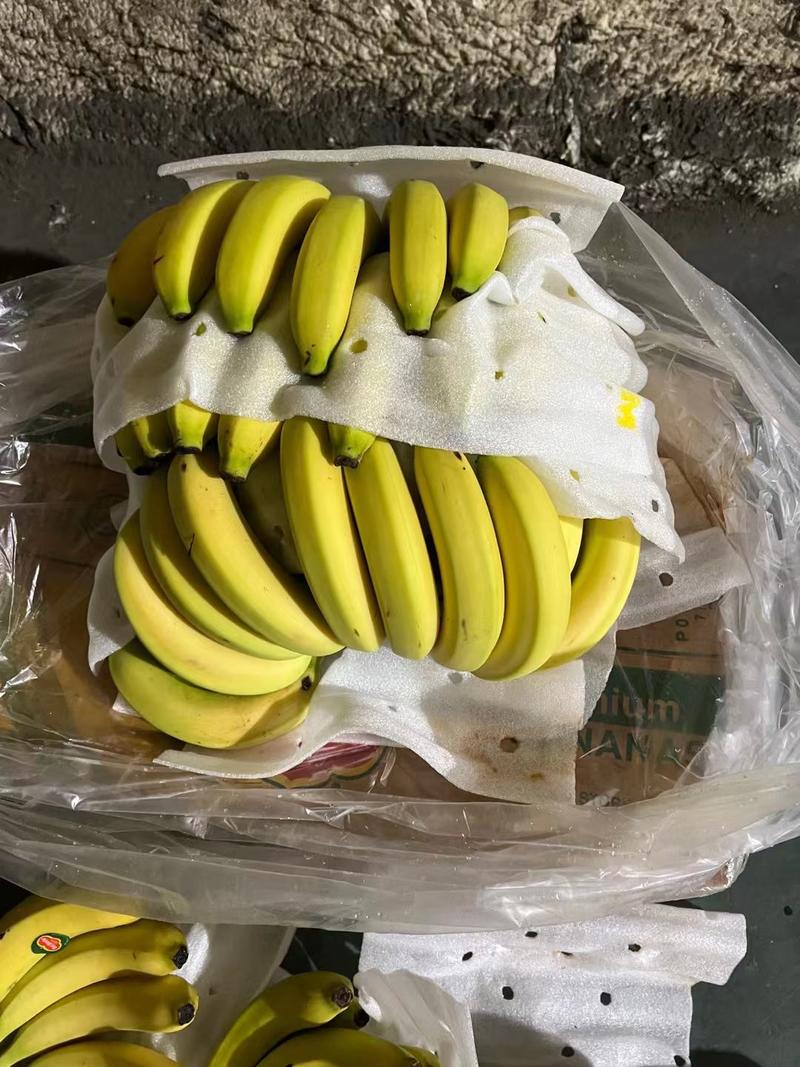 菲律宾香蕉大量现货质量保证价格实惠一手货源