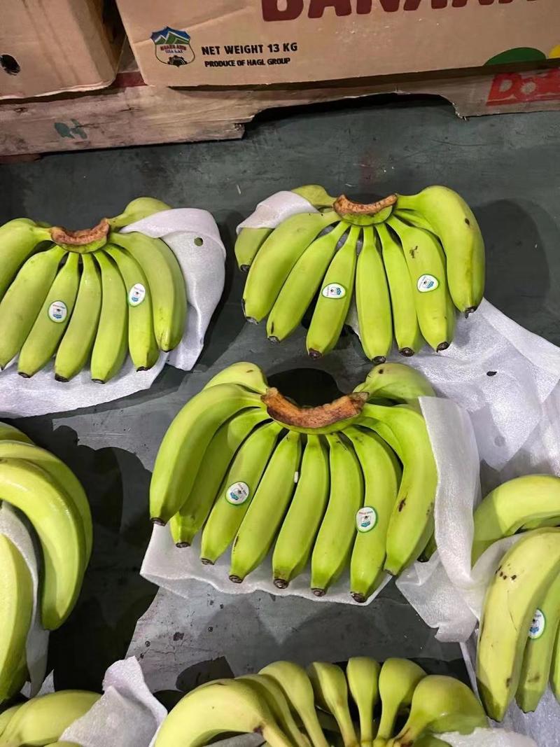 菲律宾香蕉大量现货无花皮无黑心无硬心口感甜糯
