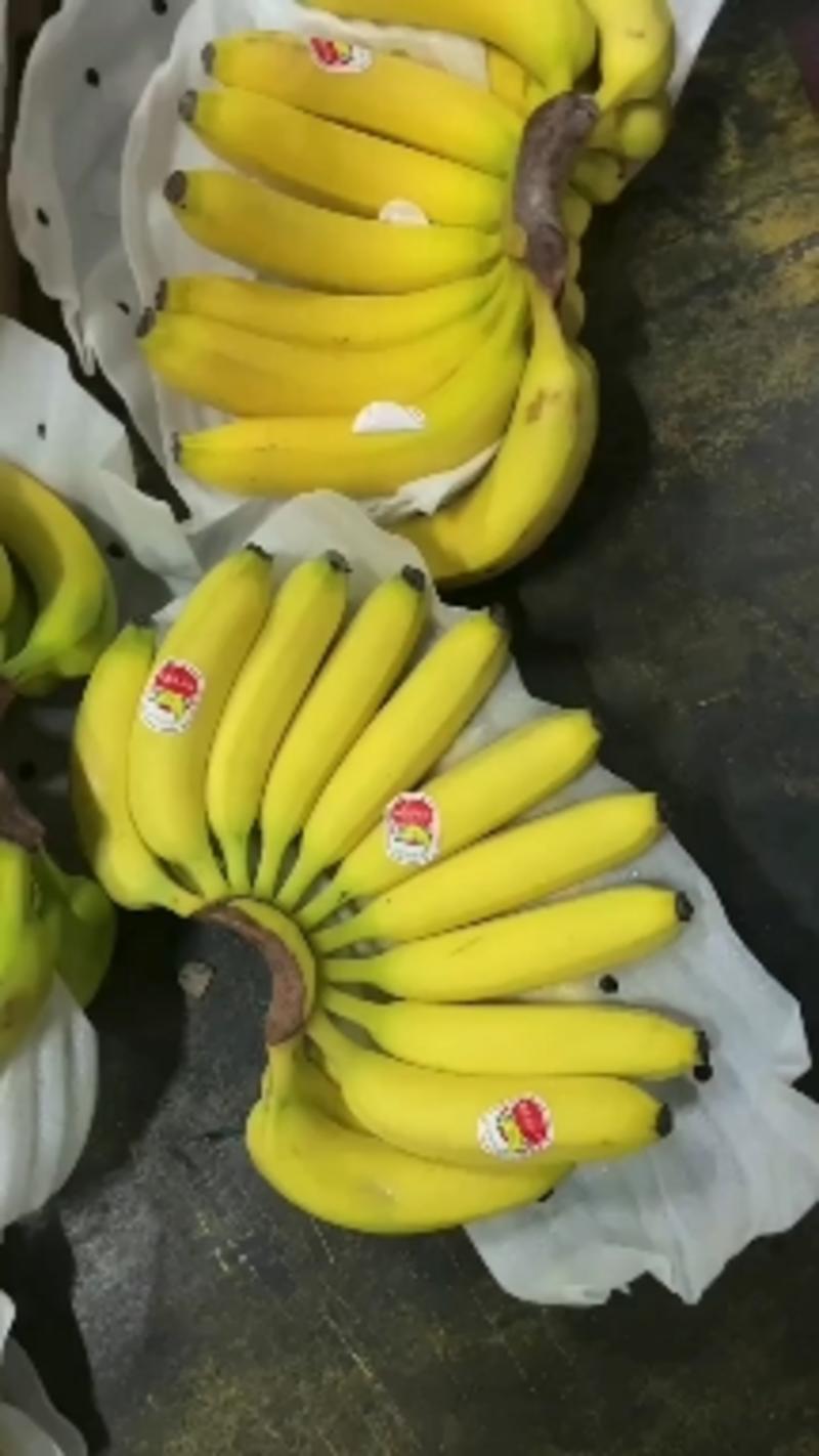 菲律宾香蕉大量现货无花皮无黑心无硬心口感甜糯