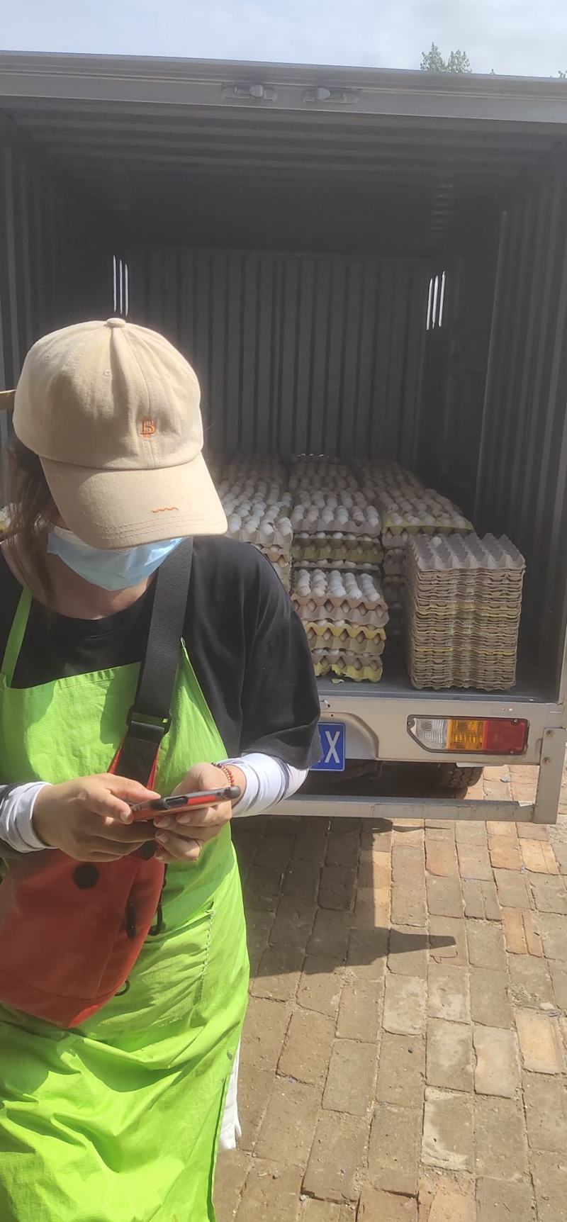大量出售华北柴鸡种蛋和商品蛋今天又拉走一车希望新人合作
