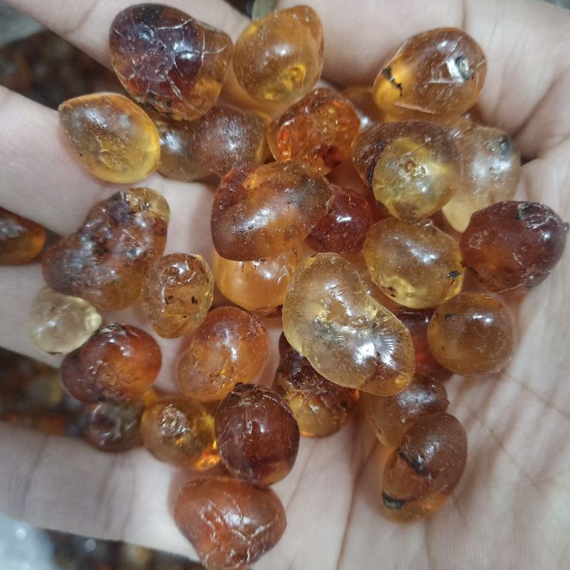批发.桃胶500克珍珠桃胶杂质少可搭雪燕皂角煮糖水