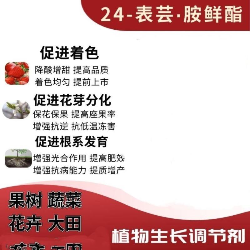 佳倍乐~24-表芸胺鲜酯水分散~大白菜调节生长植物农药生