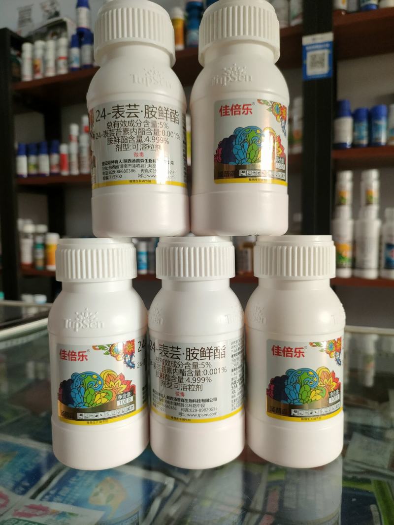 佳倍乐~24-表芸胺鲜酯水分散~大白菜调节生长植物农药生