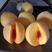 精选优质黄桃，锦绣黄桃大量上市欢迎各地客商前来咨询选购