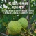2023新货青皮核桃纸皮薄核桃