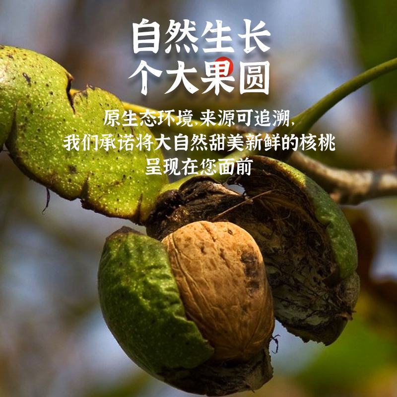 2023新货青皮核桃纸皮薄核桃