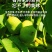 2023新货青皮核桃纸皮薄核桃
