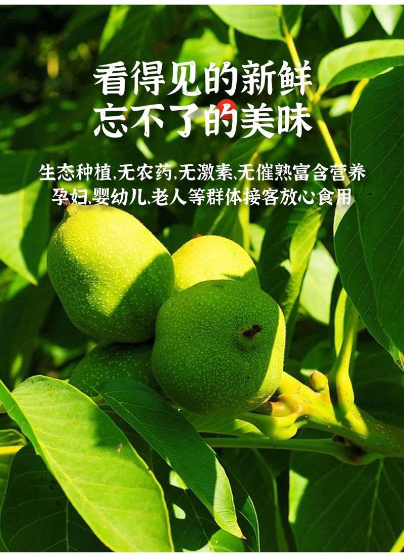 2023新货青皮核桃纸皮薄核桃