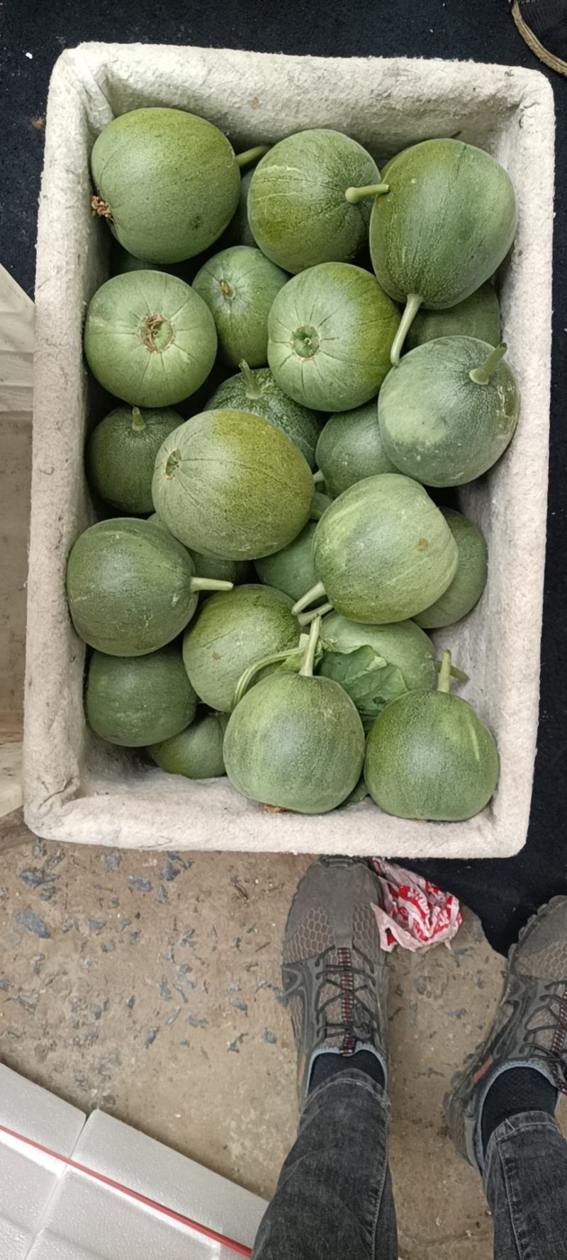 口感脆甜，价格美丽，货源充足，交通便利
