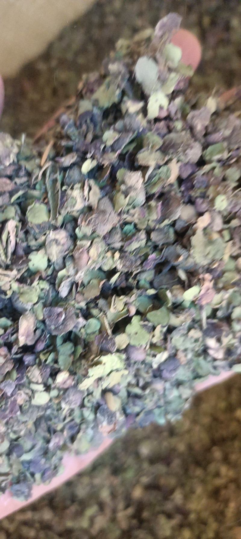 浮萍新货野生浮萍色青无杂自然晾晒假一赔十批发零售