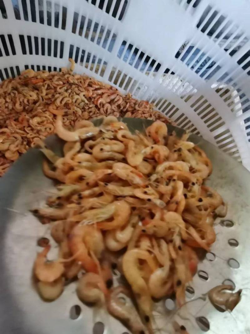小海虾，海鲜，小虾，海虾，虾米，河虾，，，，
