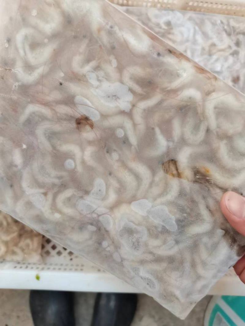 小海虾，海鲜，小虾，海虾，虾米，河虾，，，，