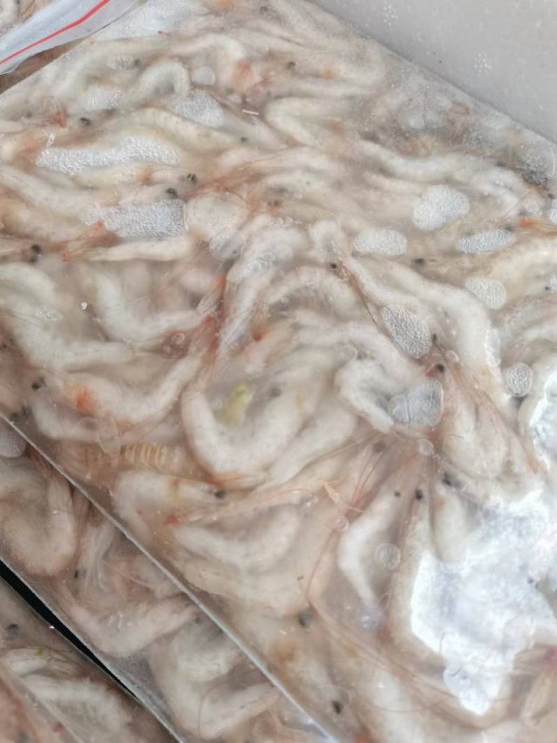 小海虾，海鲜，小虾，海虾，虾米，河虾，，，，