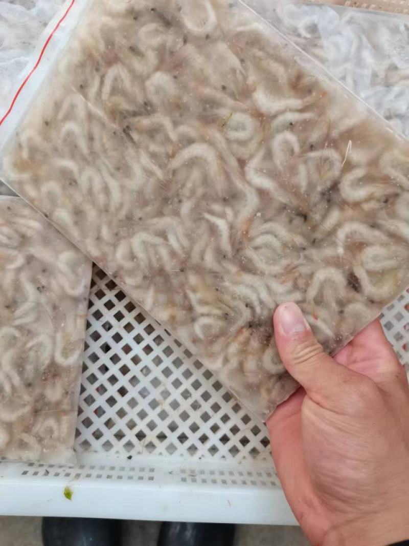 小海虾，海鲜，小虾，海虾，虾米，河虾，，，，