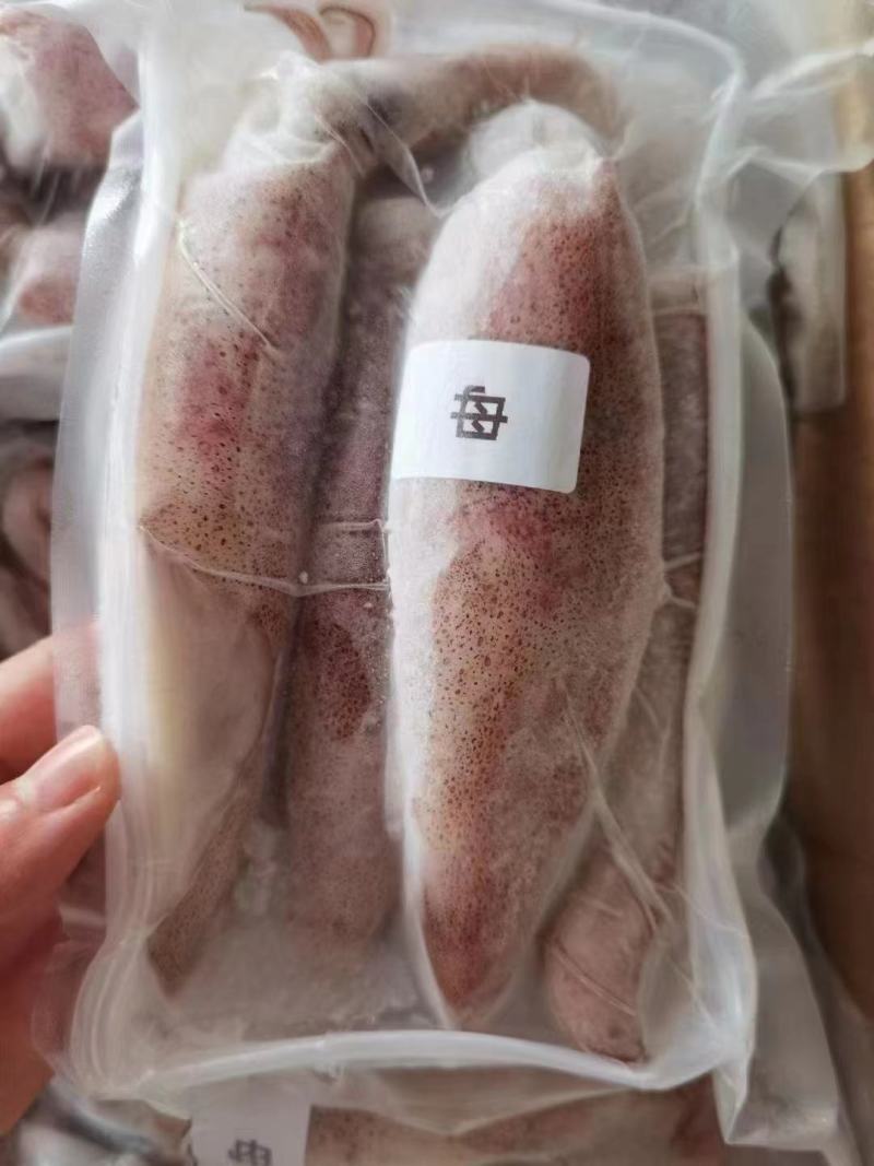 鱿鱼，鱿鱼筒，，，，，，，，，，
