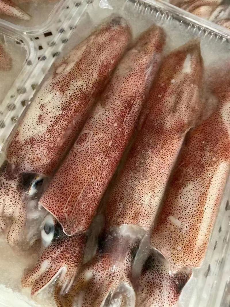 鱿鱼，鱿鱼筒，，，，，，，，，，