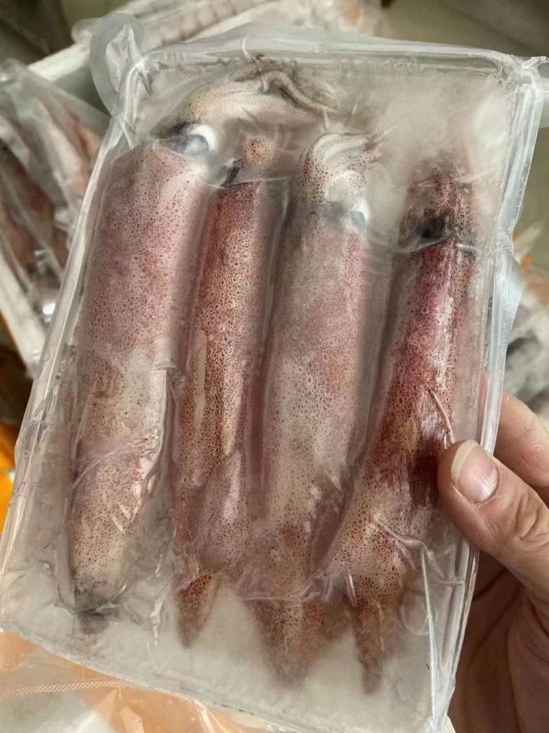 鱿鱼，鱿鱼筒，，，，，，，，，，