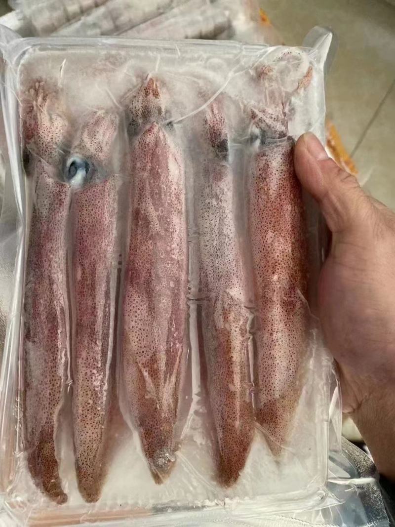 鱿鱼，鱿鱼筒，，，，，，，，，，