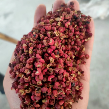 陕西红花椒大红袍干花椒颗粒大无杂质，麻辣鲜香