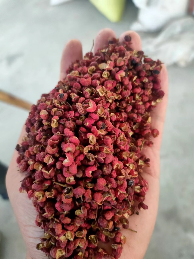 陕西红花椒大红袍干花椒颗粒大无杂质，麻辣鲜香