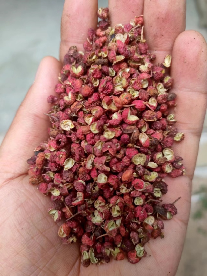 陕西红花椒大红袍干花椒颗粒大无杂质，麻辣鲜香