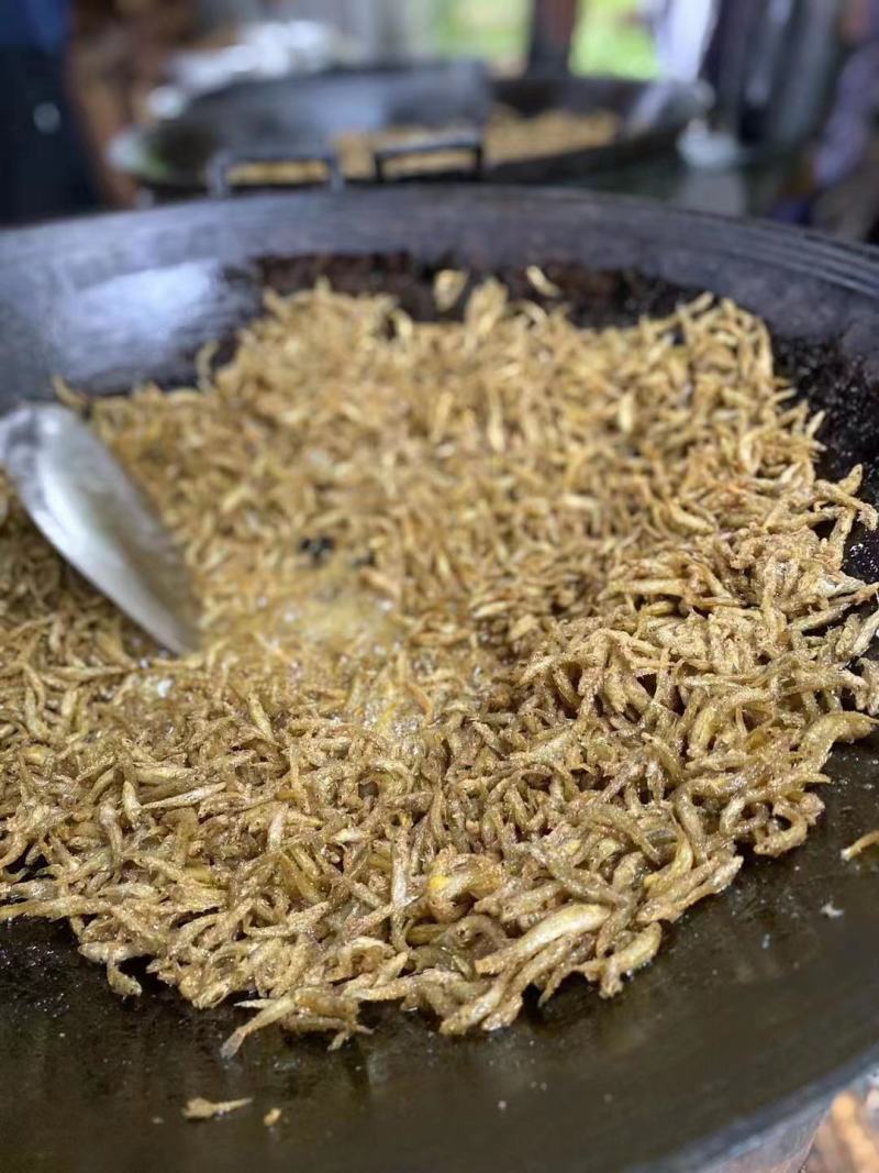 小黄鱼，河鱼，小鱼，山根鱼，爬山虎，鱼仔，，，，，，，，