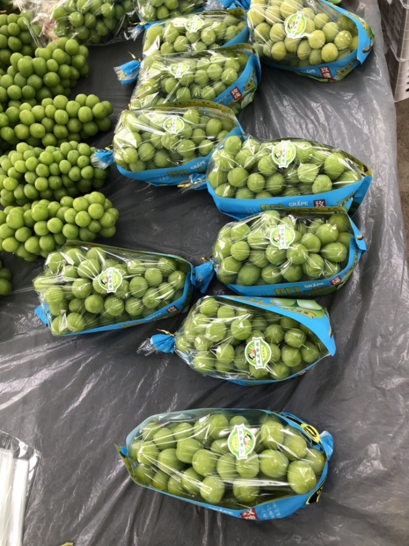 江苏新沂精品阳光玫瑰123级