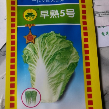 早熟5号，是极早熟大白菜优良品种，耐热耐湿特抗炭疽病。