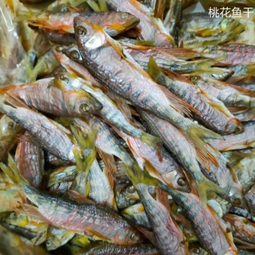 正宗河鱼干溪哥马口鱼干柴火烘干鱼干供应酒店食堂饭店