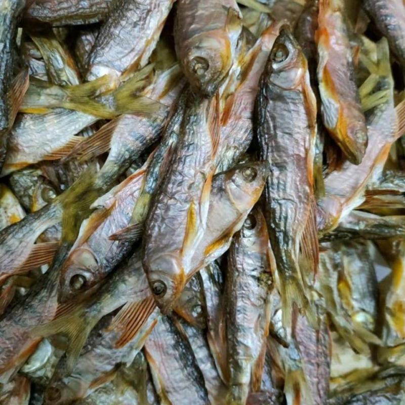 正宗河鱼干溪哥马口鱼干柴火烘干鱼干供应酒店食堂饭店