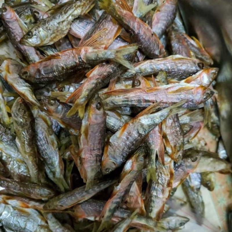 正宗河鱼干溪哥马口鱼干柴火烘干鱼干供应酒店食堂饭店