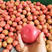 【精品】西红柿，硬粉精品货，产地直供，蔬菜之乡，量大从优