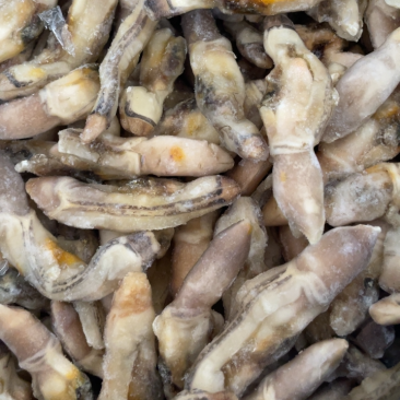 产地直销蛏王肉去沙嘴蛏王肉海蛏子肉圣子肉海鲜水产