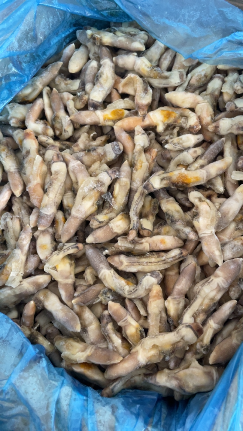 产地直销蛏王肉去沙嘴蛏王肉海蛏子肉圣子肉海鲜水产